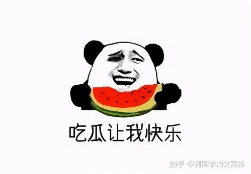 娱乐吃瓜文案图片搞笑,“笑料横生！娱乐吃瓜文案与搞笑图片大集合”