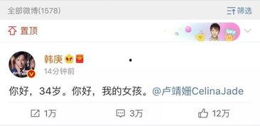 娱乐圈吃瓜文件,揭秘“吃瓜文件”背后的真相