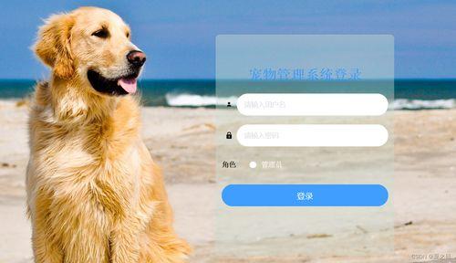 娱乐吃瓜酱宠物收养,揭秘宠物界的温馨故事