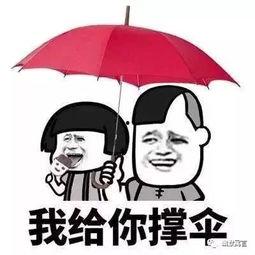 娱乐吃瓜酱还伞,揭秘明星遮阳伞背后的时尚风云