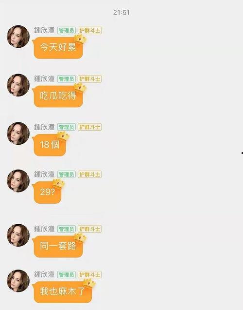 娱乐吃瓜酱传输助手,吃瓜酱助手带你领略幕后风云