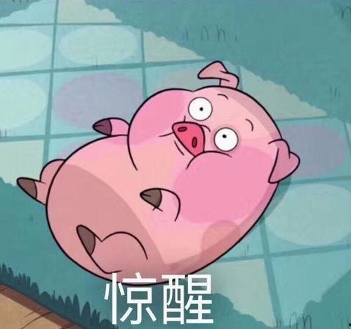 娱乐吃瓜酱肥猪猪,肥猪猪的趣味人生揭秘