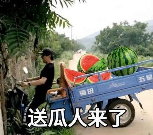 娱乐吃瓜集中地,这里是吃瓜群众的集中地！