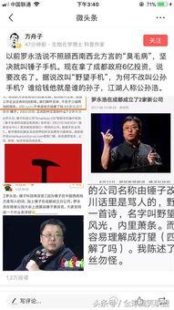 罗永浩娱乐圈吃瓜,从锤子科技到娱乐圈吃瓜达人