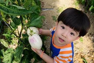 江西太晚娱乐陪你吃瓜,陪你吃瓜，畅谈娱乐圈新鲜事