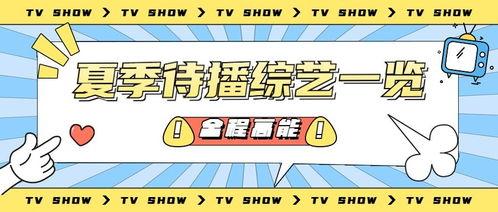 吃瓜额娱乐速报,明星动态、绯闻揭秘、时尚盛宴