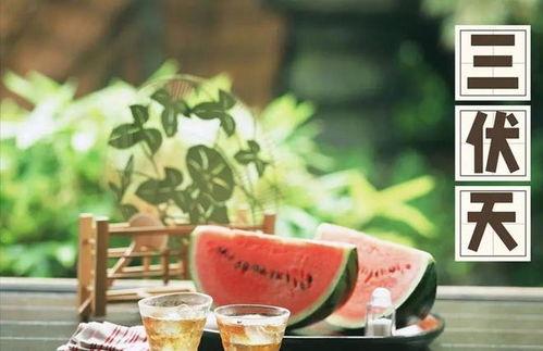 娱乐吃瓜健康养生文案,娱乐“吃瓜”中的健康智慧