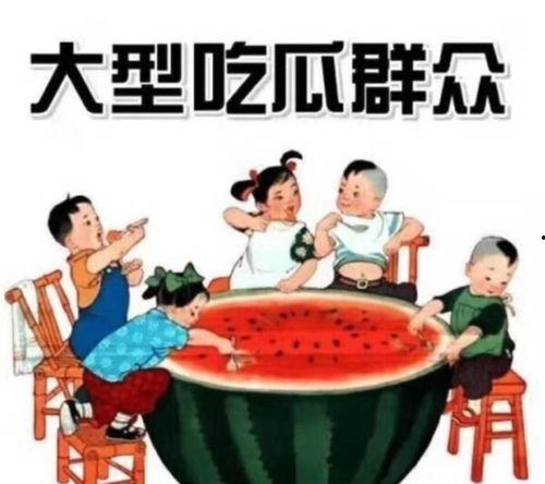 娱乐吃瓜感受和收获,趣味与思考的交织之旅