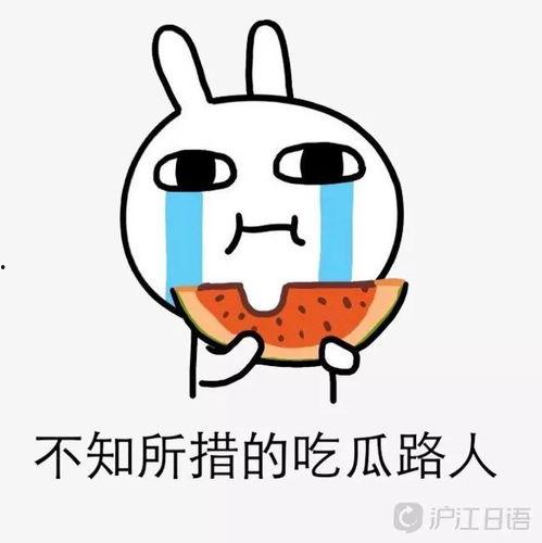 吃瓜娱乐去哪里了,揭秘幕后真相与未来走向