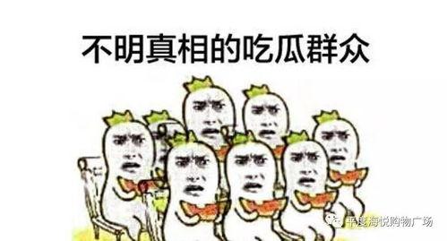 娱乐吃瓜群众模板下载,揭秘“吃瓜群众”的狂欢盛宴