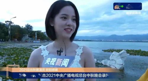 娱乐吃瓜君流量明星,娱乐圈流量明星的崛起与挑战