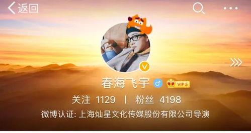 娱乐吃瓜君流量明星,娱乐圈流量明星的崛起与挑战
