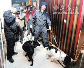 缉毒警察娱乐吃瓜酱,无畏生死，守护正义的幕后英雄