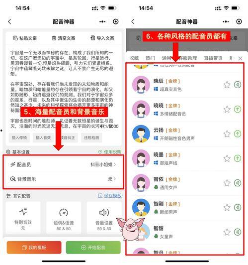 娱乐吃瓜视频配音软件,盘点热门配音软件，轻松打造趣味视频