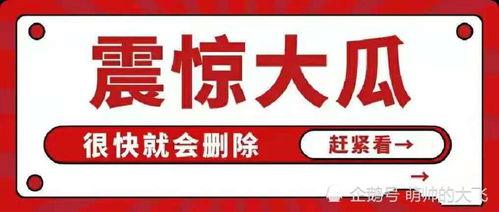 吃瓜娱乐有限公司,揭秘娱乐圈幕后故事，带你领略娱乐产业魅力