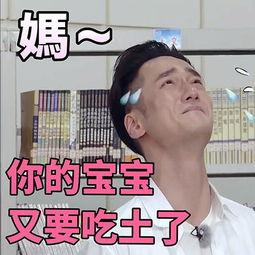娱乐吃瓜图片表情包,娱乐吃瓜表情包大集合